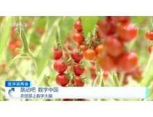 兩會關注數字農業(yè)，構建鄉(xiāng)村振興的數字藍海